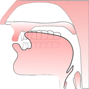 Illustration of the S Sound in Phonemes on the Boring Academy Website Online IELTS Classes